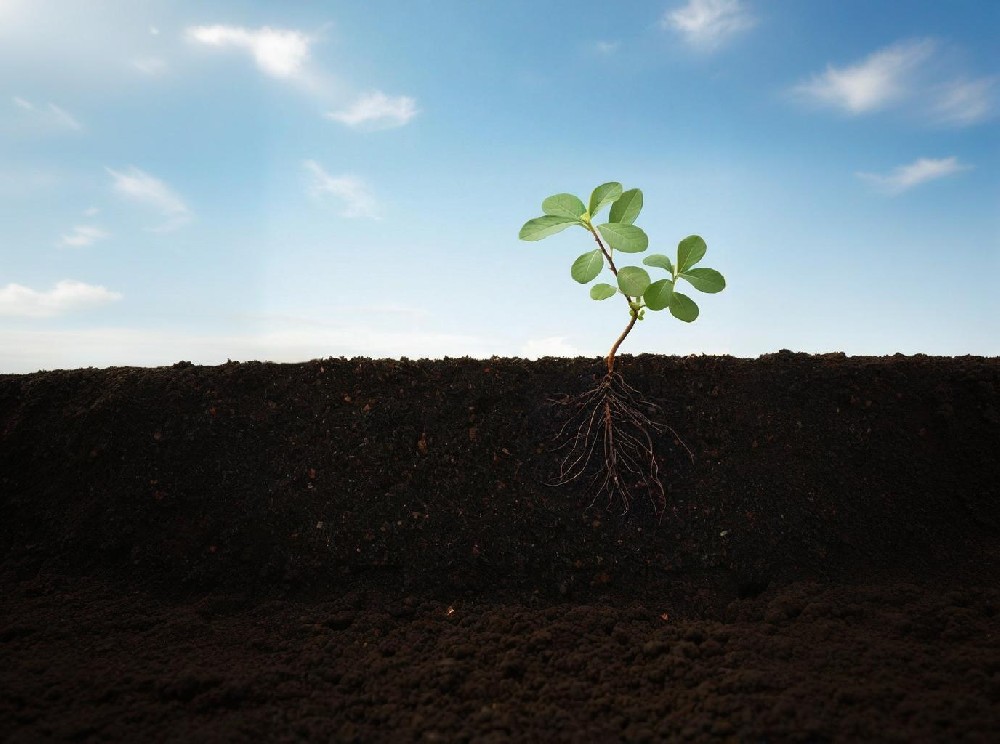 蘑菇影视在线观看环境检测实验室方案