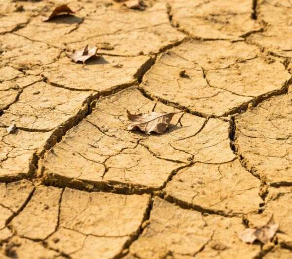 智能蘑菇影视在线观看氧化还原测定仪：精准监测湿度，优化农业灌溉与排水管理