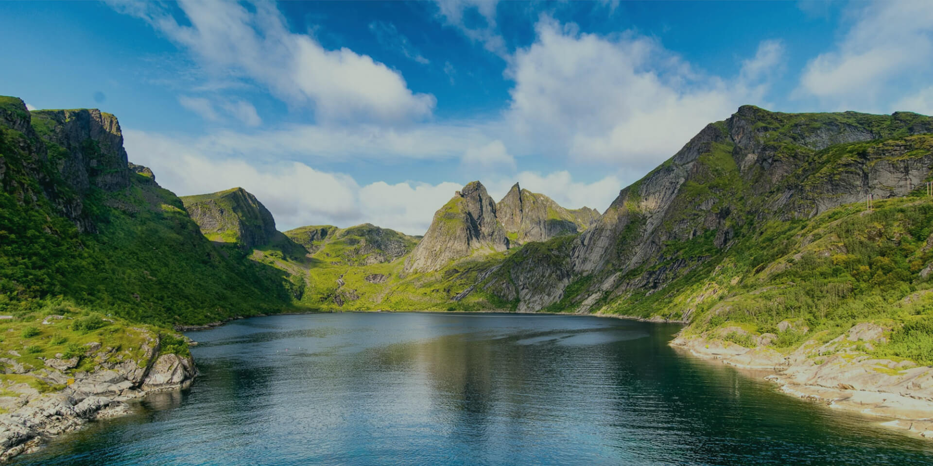 蘑菇视频成人APP黄